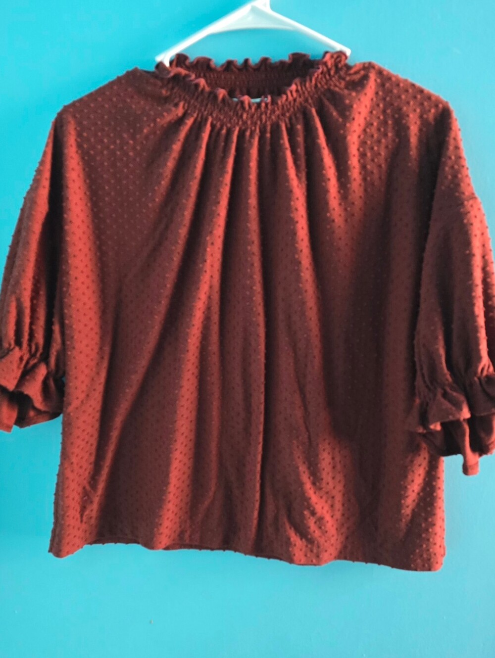 Texture & Thread Madewell Burnout Dot  Blouse Rust Orange